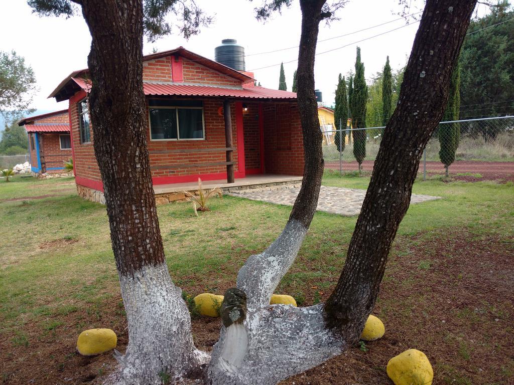 Cabanas Gotcha Huasca Huasca de Ocampo Exterior foto